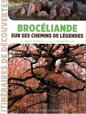Wald von Broceliande-Frankreich