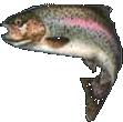 Räucher Fisch