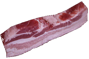Bacon