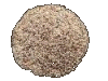 Sesam-Öl