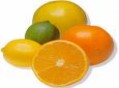 Zitrusfr&uuml;chte-Poster