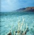Salz aus dem Toten Meer