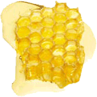 Honig