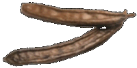 Johannisbrot