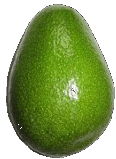 Avocado auf dem Markt