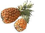 Ananas