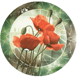 Klatschmohn von Kaiser-Porzellan(Germany)