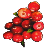 Moosbeeren