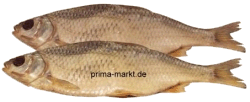 Trockenfisch