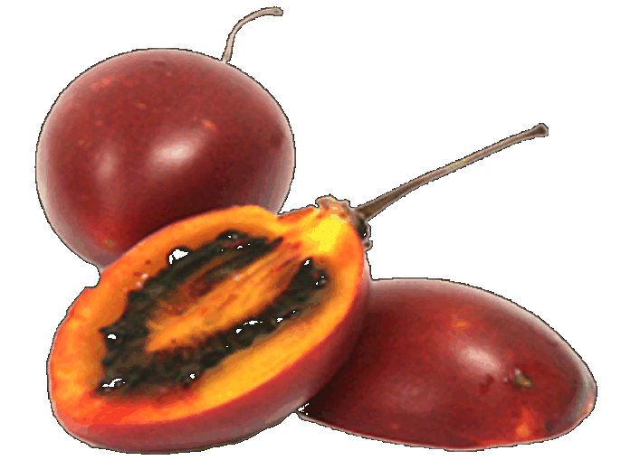 Tamarillo
