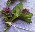 Bouquet Garni