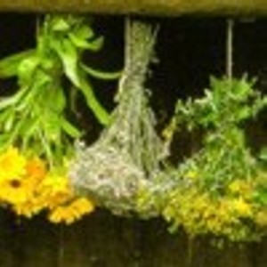 Kräutersträuße-getrocknet