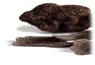 Schwarze Tr&uuml;ffel